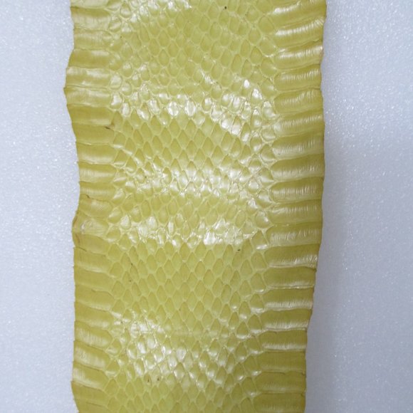 BUNDLE OF EXOTIC LIZARD SKINS AND SNAKESKIN - Picture 16 of 16